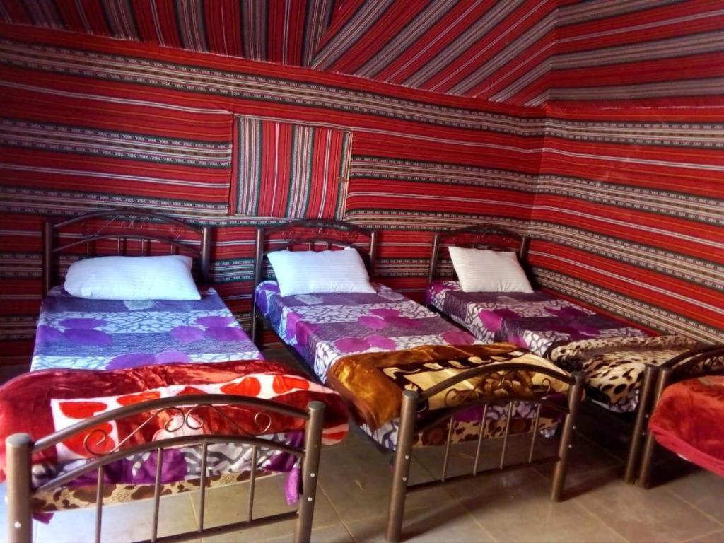 Wadi Rum Moon Camp Exterior foto